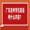 广东自考学位英语考什么内容？