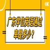 广东学位英语通过率是多少？