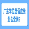 广东学位英语成绩怎么查询？